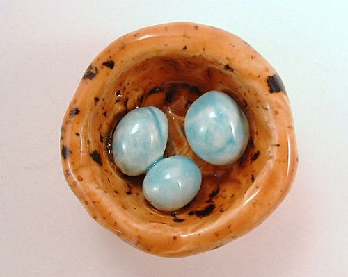 Blue eggs brown nest