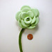 1 Mint Green Rose With Stem