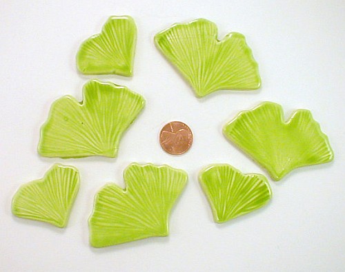 Green Ginko Leaves