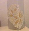 Sand Dollar Lamp