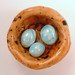 Blue eggs brown nest