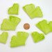 Green Ginko Leaves